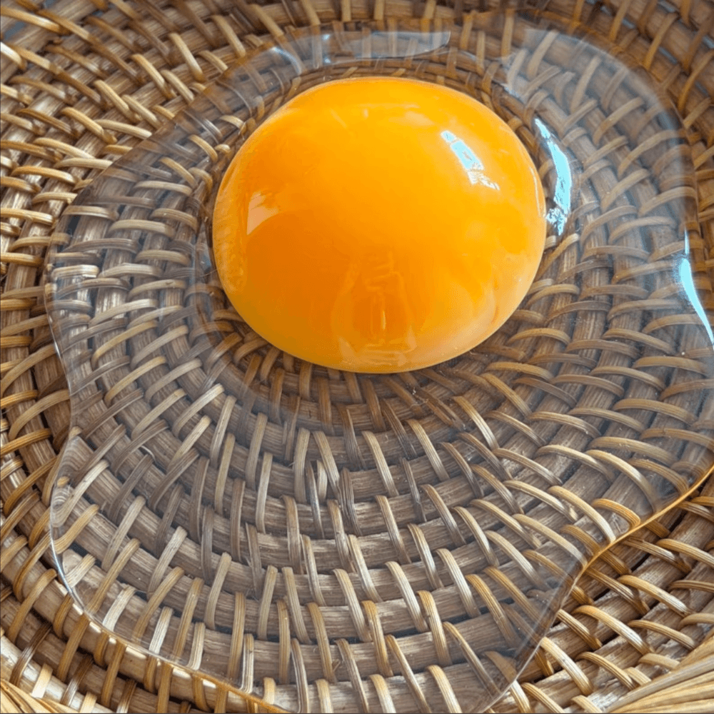 VayTrove™ Tap-to-Glow Fried Egg Night Light